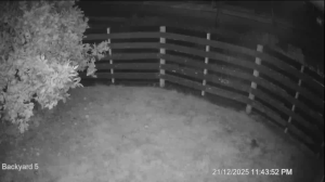 Caméra IP - Neuseeland