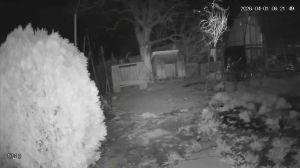 Caméra IP - South Korea