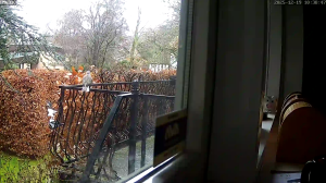 Caméra IP - Pays-Bas