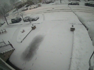 Caméra IP - United States of America