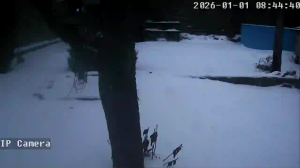 Caméra IP - República Checa