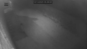 Caméra IP - États-Unis d'Amérique