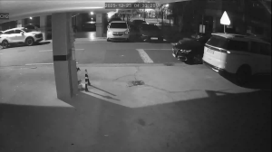 Caméra IP - Südkorea