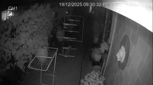 Caméra IP - Australia