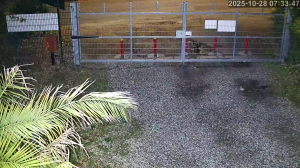 Caméra IP - Regno Unito