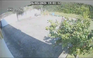 Caméra IP - Portugal