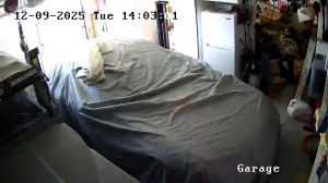 Caméra IP - United States of America