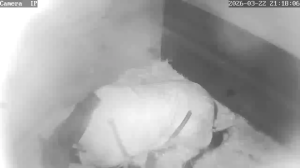 Caméra IP - Belgique