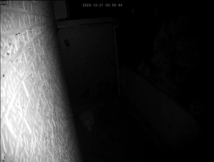 Caméra IP - Corea del Sud