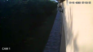 Caméra IP - Argentina