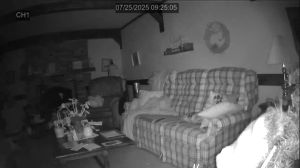 Caméra IP - États-Unis d'Amérique