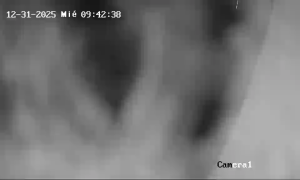 Caméra IP - Spanien