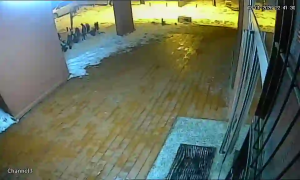 Caméra IP - Serbien