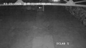 Caméra IP - Mongolia