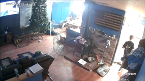 Caméra IP - États-Unis d'Amérique