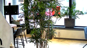 Caméra IP - Pays-Bas