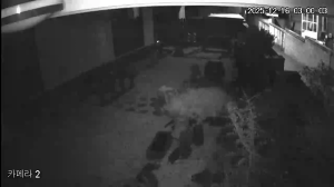 Caméra IP - South Korea