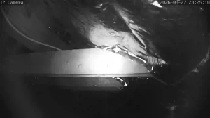 Caméra IP - Allemagne