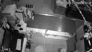 Caméra IP - Malaysia