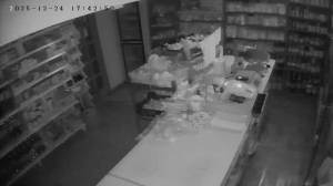 Caméra IP - Hungría