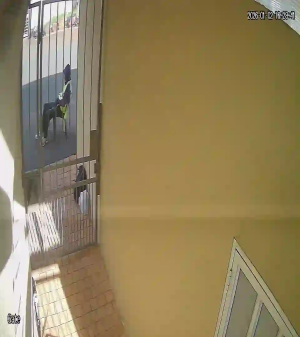 Caméra IP - South Africa