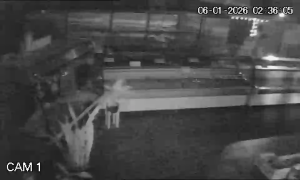 Caméra IP - Argentina