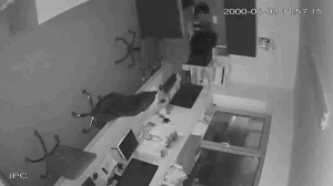 Caméra IP - República Checa