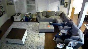 Caméra IP - Vereinigte Staaten von Amerika