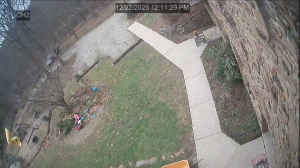 Caméra IP - Estados Unidos