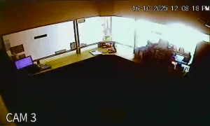 Caméra IP - Malesia
