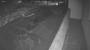 Caméra IP - Romania