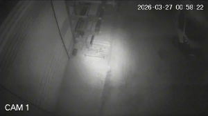 Caméra IP - Bulgaria