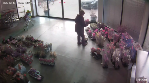 Caméra IP - Slovakia