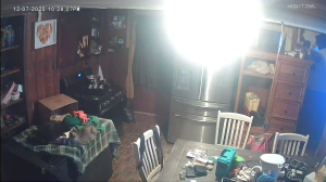 Caméra IP - United States of America