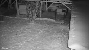 Caméra IP - Lituanie