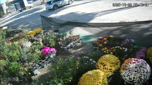 Caméra IP - Südkorea