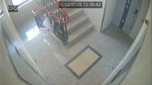 Caméra IP - República de Corea