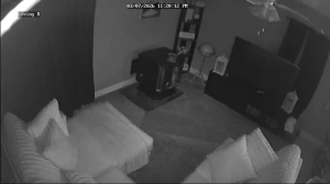 Caméra IP - United States of America