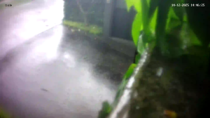 Caméra IP - Singapore