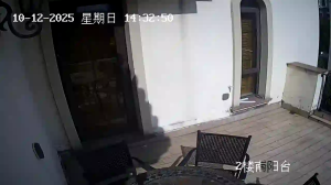 Caméra IP - China