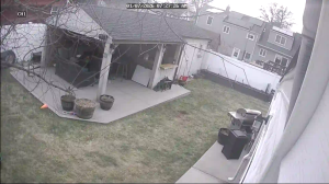 Caméra IP - United States of America