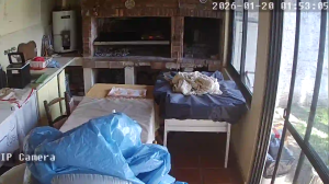 Caméra IP - Argentina