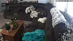 Caméra IP - États-Unis d'Amérique