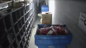 Caméra IP - Brésil