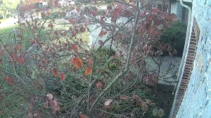 Caméra IP - United Kingdom