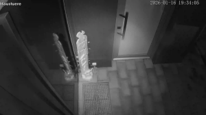 Caméra IP - Germany