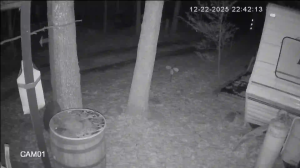 Caméra IP - Vereinigte Staaten von Amerika