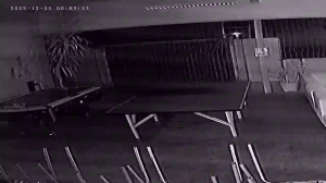 Caméra IP - Dinamarca