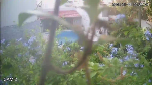 Caméra IP - Argentine