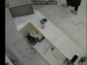 Caméra IP - Russia